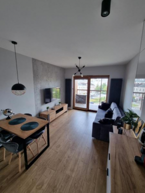 Apartament Ventus Business and Living 46, Kielce